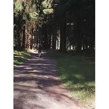 Terraced House Amann Comfortable Schnett