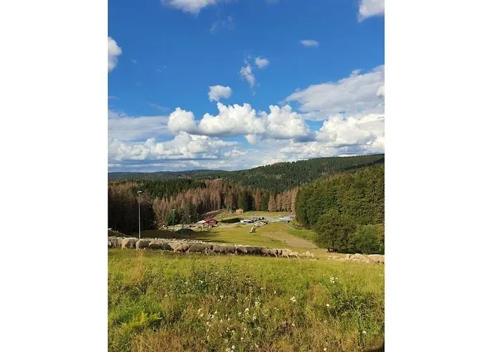 Terraced House Amann Comfortable