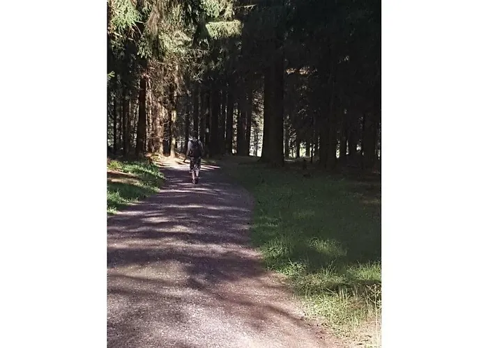 Terraced House Amann Comfortable Schnett