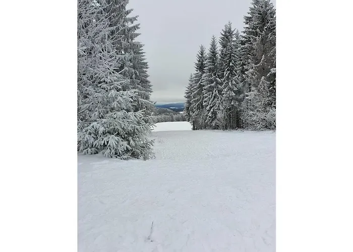 Terraced House Amann Comfortable Tatil Evi