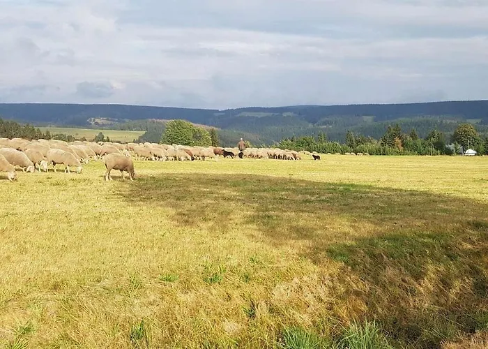 Terraced House Amann Comfortable *
