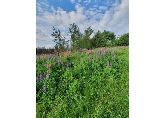 Terraced House Amann Comfortable Tatil Evi