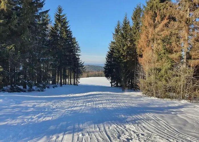 Terraced House Amann Comfortable Tatil Evi Schnett